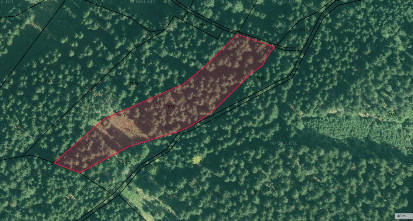 Nehnutelnost DOM-REALÍT ponúka na predaj lesný pozemok v obci Makov