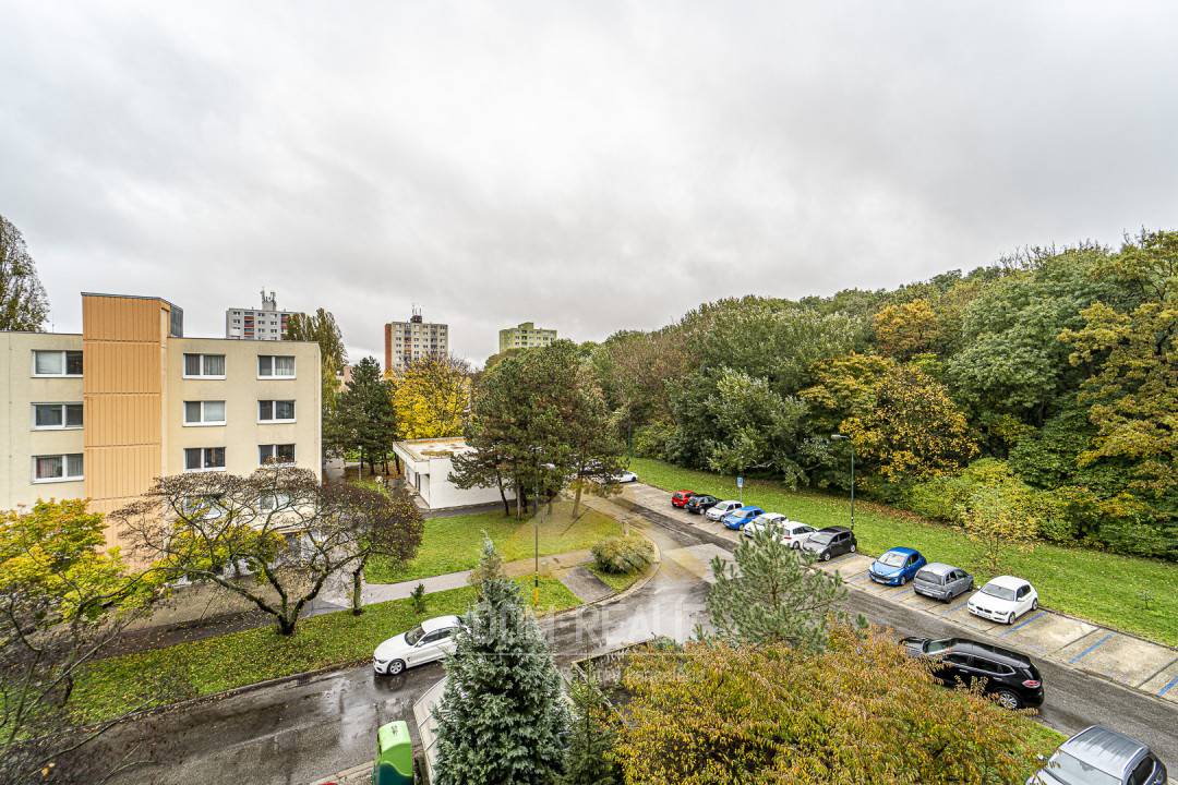 Nehnutelnost DOM-REALÍT voľný inheď